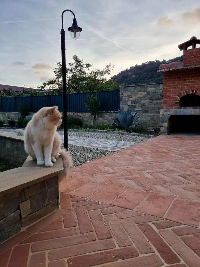 Dimora Pepatio Daire Camporosso  0*, Camporosso (Liguria) İtalya